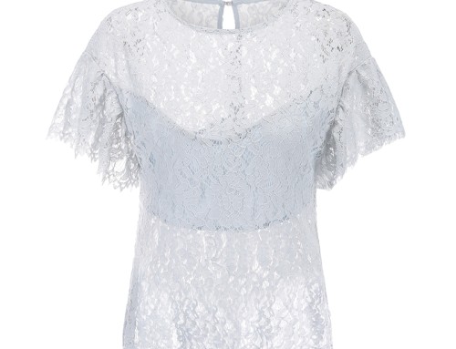 Lace Embroidered Short Sleeved Blouse
