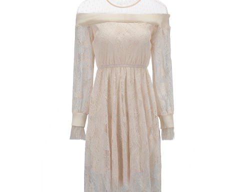 Sweet Long Sleeve Lace Fairy Dress